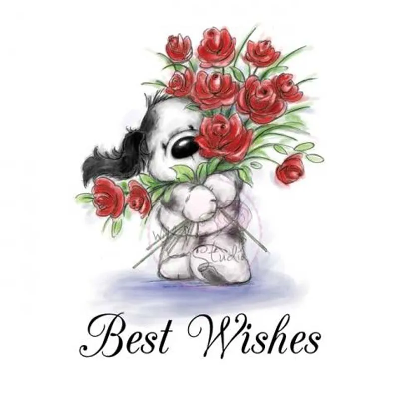 Wild Rose Rubber Silicone Clear Stamps for Scrapbooking Tampons Seal Background Stamp Card Making Dog/Flower
Wild Rose Rubber Silicone Clear Stamps for Scrapbooking Tampons Seal Background Stamp Card Making Dog/Flower