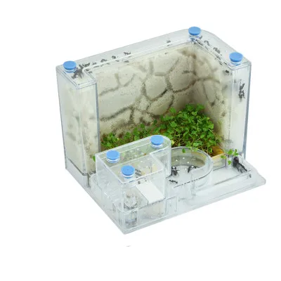 Big Transparent Ant House Fill Clay Sand Ants Farm Insect Nest Ecology Mania Home Habitat Professional Ant Villa
Big Transparent Ant House Fill Clay Sand Ants Farm Insect Nest Ecology Mania Home Habitat Professional Ant Villa