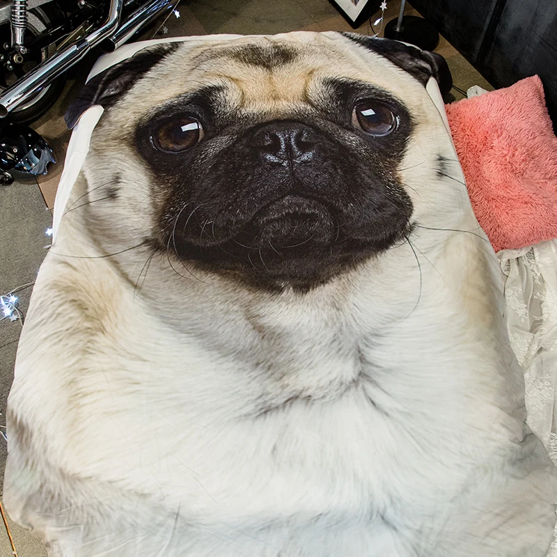 pug big size