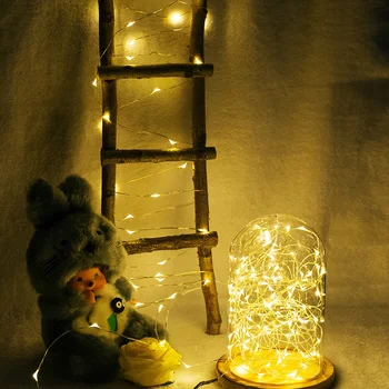 New Led String Lights 10M 33Ft 100Led 5V Usb Powered Outdoor Copper Wire Christmas Wedding Party Decoration
New Led String Lights 10M 33Ft 100Led 5V Usb Powered Outdoor Copper Wire Christmas Wedding Party Decoration