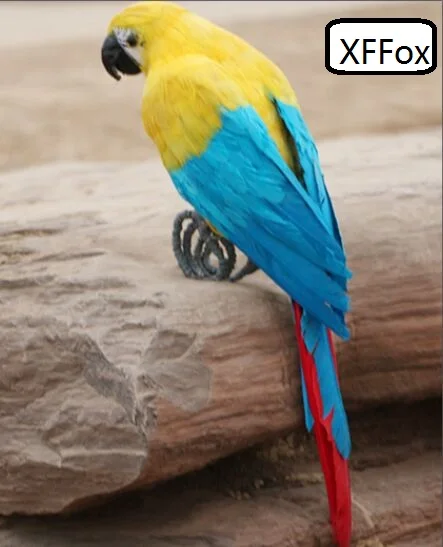 big real life yellow parrot model foam&feather simulation turned parrot bird gift about 48cm xf0189
big real life yellow parrot model foam&feather simulation turned parrot bird gift about 48cm xf0189