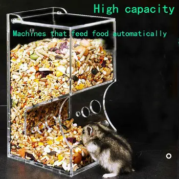Hamster Hedgehog guinea pig squirrel feeder food box can fix squirrel hedgehog guinea pig golden bear food bowl anti-leakage
Hamster Hedgehog guinea pig squirrel feeder food box can fix squirrel hedgehog guinea pig golden bear food bowl anti-leakage