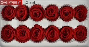 High grade Preserved Fresh Flowers Decoration wedding marry rose 12p red Roses for Flower wall Arrangement Material and DIY gift
High grade Preserved Fresh Flowers Decoration wedding marry rose 12p red Roses for Flower wall Arrangement Material and DIY gift