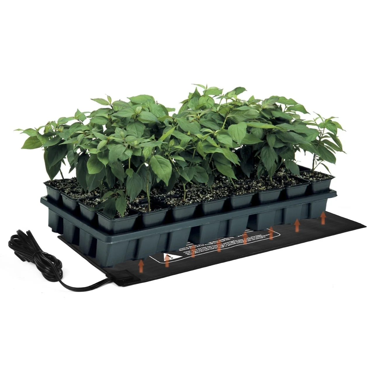US Plug Seedling Plant Heat Mat for Indoor & Outdoor Home Gardening Cloning Heating Mat
US Plug Seedling Plant Heat Mat for Indoor & Outdoor Home Gardening Cloning Heating Mat
