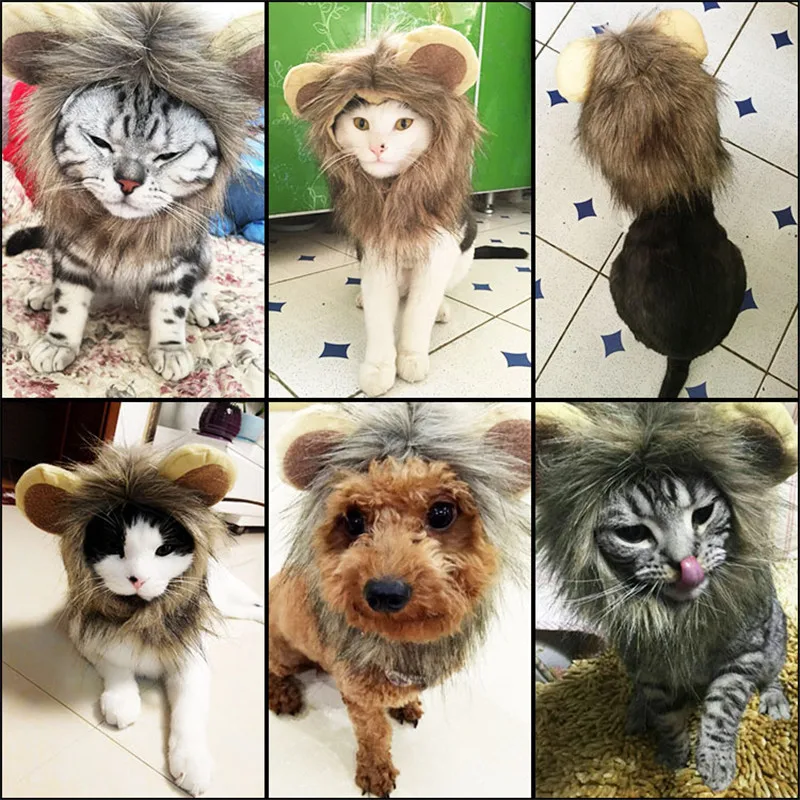 Pet Cat Dog Emulation Lion Hair Mane Ears Head Cap Autumn Winter Lion Mane Pet Cat Hat Lion Mane Wig Cute Pet Costume Cosplay
Pet Cat Dog Emulation Lion Hair Mane Ears Head Cap Autumn Winter Lion Mane Pet Cat Hat Lion Mane Wig Cute Pet Costume Cosplay