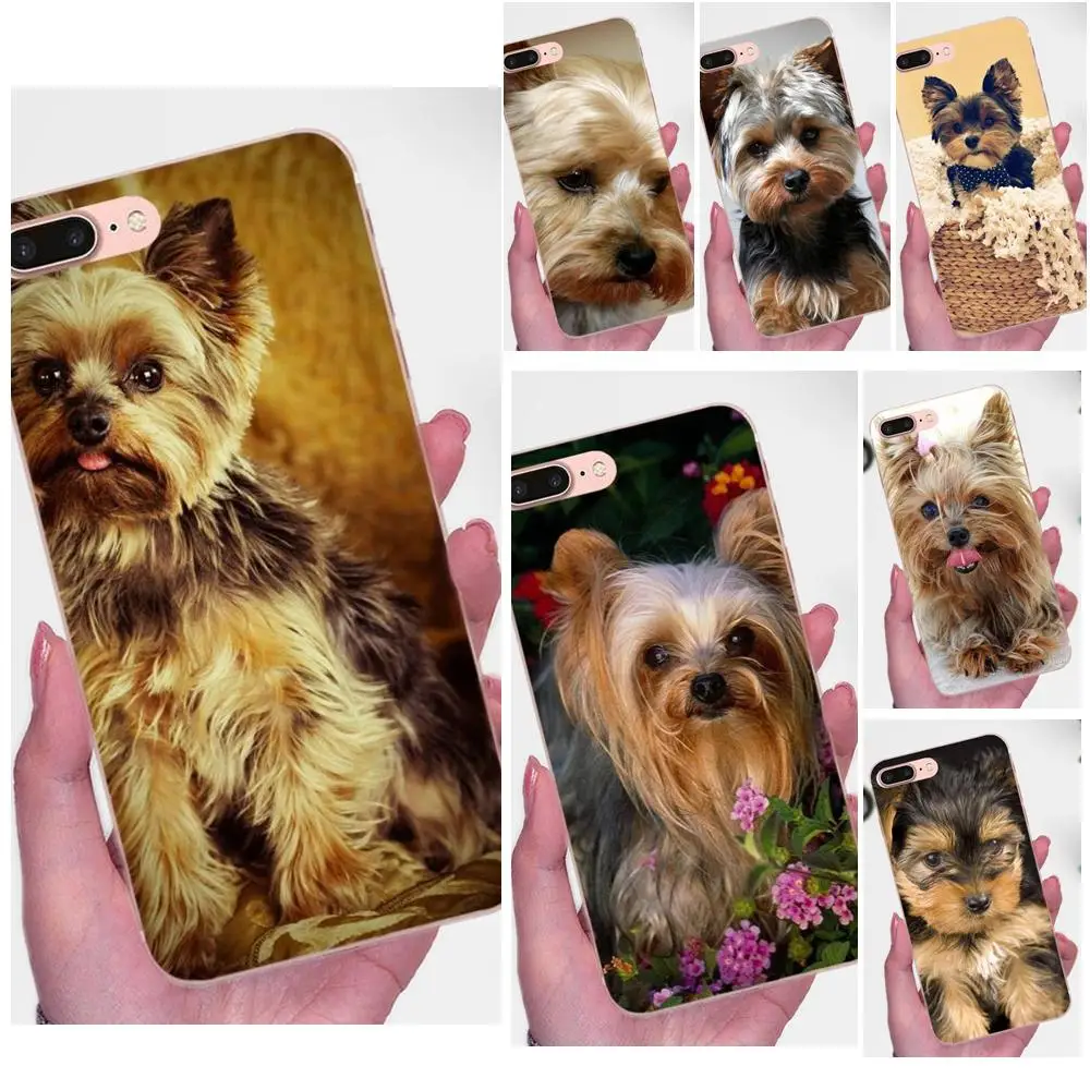 Soft Case Coque Cover Yorkshire Terrier Dog For Xiaomi Mi3 Mi4 Mi4C Mi4i Mi5 Mi 5S 5X 6 6X 8 SE A1 Max Mix 2 Note 3 4
Soft Case Coque Cover Yorkshire Terrier Dog For Xiaomi Mi3 Mi4 Mi4C Mi4i Mi5 Mi 5S 5X 6 6X 8 SE A1 Max Mix 2 Note 3 4