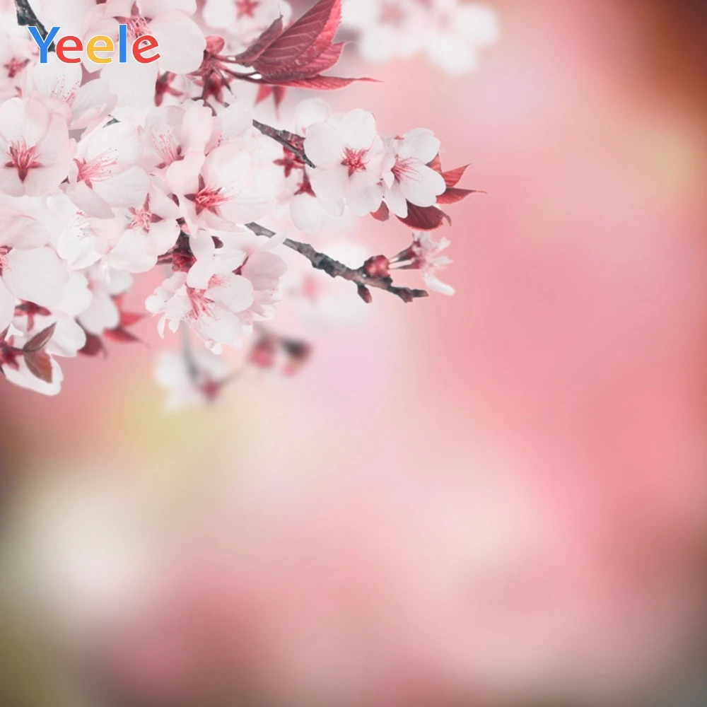 Yeele Spring Blossom Cherry Sakura Light Bokeh Baby Child Portrait Photography Backgrounds Photographic Backdrops Photo Studio
Yeele Spring Blossom Cherry Sakura Light Bokeh Baby Child Portrait Photography Backgrounds Photographic Backdrops Photo Studio
