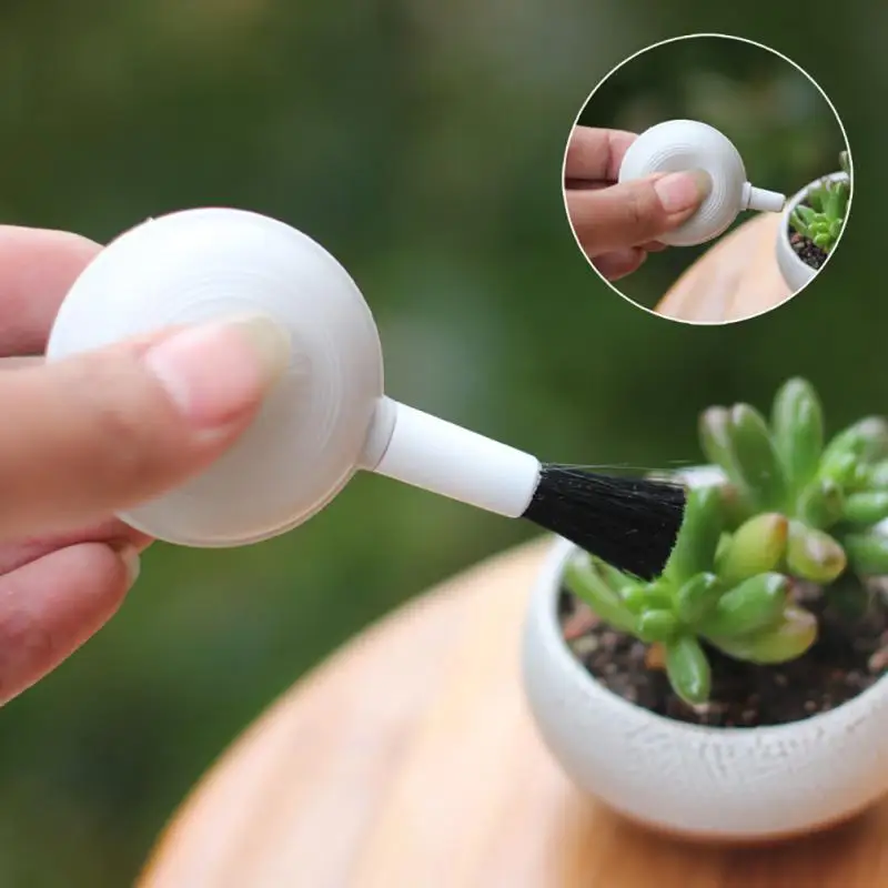 2 In 1 Drop shipping Succulent Cleaning Air Blower Brush Beads Dust Cleaner Multifunction Removable dust remover tools
2 In 1 Drop shipping Succulent Cleaning Air Blower Brush Beads Dust Cleaner Multifunction Removable dust remover tools