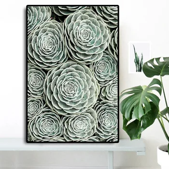 Home Decoration Canvas Wall Art 1 Pieces Painting Cactus Green Plants Pictures Printed Modular Poster For Living Room Framework
Home Decoration Canvas Wall Art 1 Pieces Painting Cactus Green Plants Pictures Printed Modular Poster For Living Room Framework