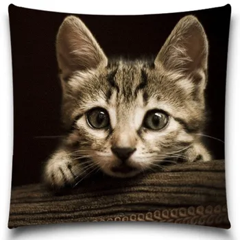 Gentle looking cat Square Pillow Case Cover Bedding Polyester Cotton Cushion Cover
Gentle looking cat Square Pillow Case Cover Bedding Polyester Cotton Cushion Cover
