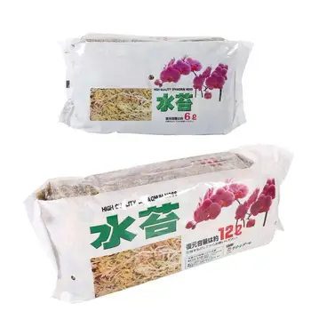 12L Sphagnum Moss Moss Sphagnum Nutrition Organic Fertilizer For Orchid Phalaenopsis Musgo Sphagnum Flower Garden Supplies
12L Sphagnum Moss Moss Sphagnum Nutrition Organic Fertilizer For Orchid Phalaenopsis Musgo Sphagnum Flower Garden Supplies