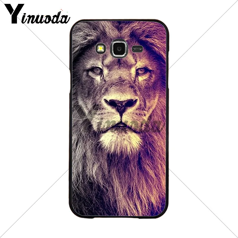 Animals The lion