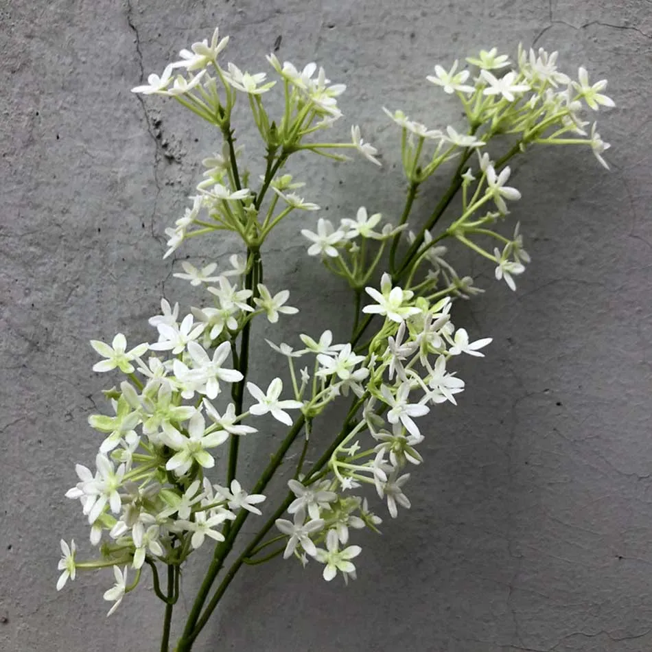 Simulation White Cross Cherry Blossom Branch Home Table Decoration Plastic Fake Flowers Wedding Celebration Photography Props
Simulation White Cross Cherry Blossom Branch Home Table Decoration Plastic Fake Flowers Wedding Celebration Photography Props
