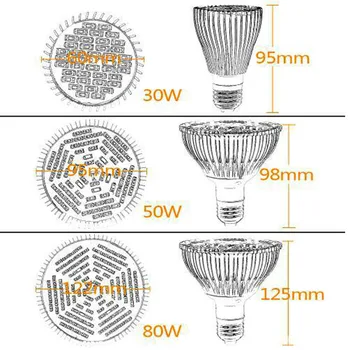 30W/50W/80W Full Spectrum AC85-265V 5730SMD LED Grow Light Lamp For Plants And Hydroponics Grow/Bloom Lighting E27 GHS99
30W/50W/80W Full Spectrum AC85-265V 5730SMD LED Grow Light Lamp For Plants And Hydroponics Grow/Bloom Lighting E27 GHS99