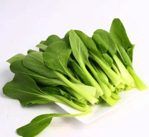 High Quality 200 Pcs small cole Bonsai Concentrated Flavor Tender Crisp Green Vegetable Plant Small Home Garden Cultivation
High Quality 200 Pcs small cole Bonsai Concentrated Flavor Tender Crisp Green Vegetable Plant Small Home Garden Cultivation