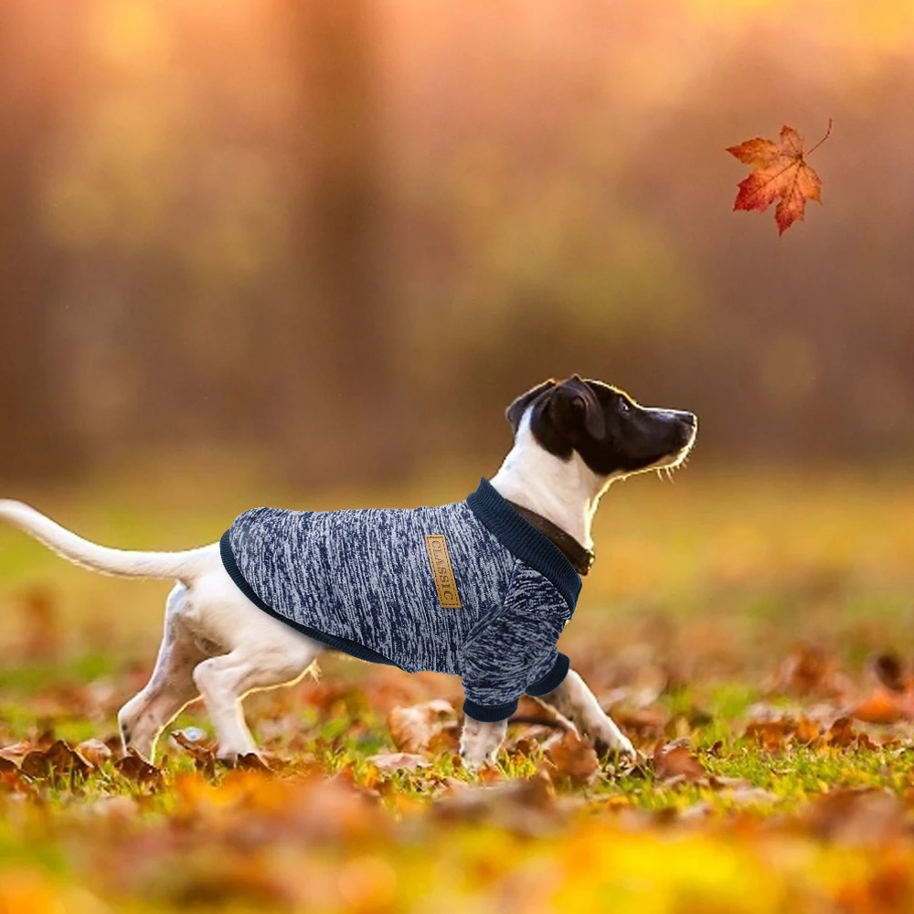 2020 NEW Classic Printed Pet Costume Hoodie Autumn and Winter Dog Cat Clothes Brand Small Dog Coat for Cats Chihuahua
2020 NEW Classic Printed Pet Costume Hoodie Autumn and Winter Dog Cat Clothes Brand Small Dog Coat for Cats Chihuahua