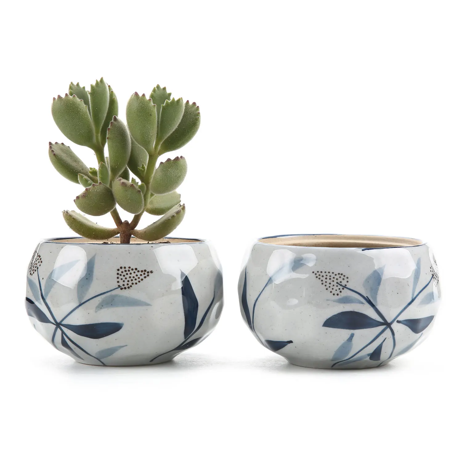 4.25 Inch Ceramic Japanese Style Clay Serial bulrush reed succulent Plant Pot Cactus Flower Pot Container Planter 1 Pack of 2
4.25 Inch Ceramic Japanese Style Clay Serial bulrush reed succulent Plant Pot Cactus Flower Pot Container Planter 1 Pack of 2