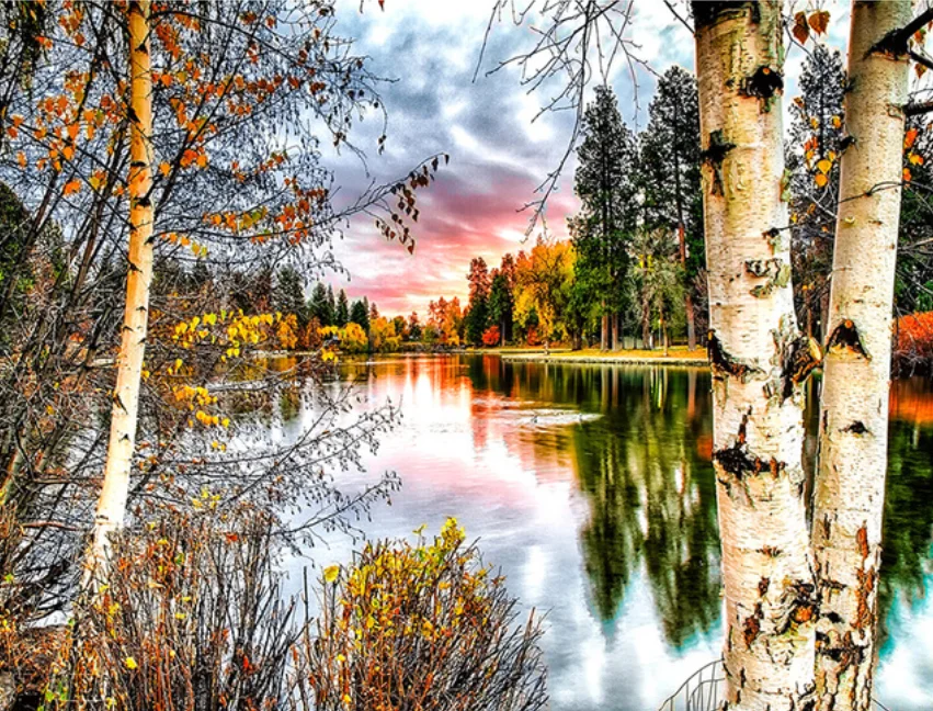 5D Diamond Embroidery Trees Scenery 5D Diamond Painting Landscape Cross Stitch Full Needlework Home Decor Round drill Children
5D Diamond Embroidery Trees Scenery 5D Diamond Painting Landscape Cross Stitch Full Needlework Home Decor Round drill Children