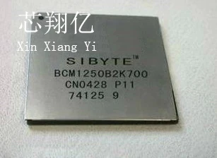 XINXIANGYI BCM1250B2K700 BGA
XINXIANGYI BCM1250B2K700 BGA