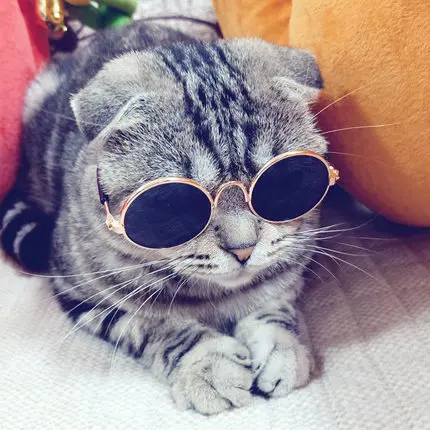 Очки для кошек redifferent в стиле ретро крутые солнцезащитные очки и