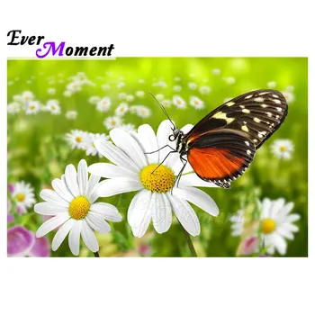 Ever Moment Diamond Painting Flower Butterfly Full Square Drill Decoration For Home Diamond Embroidery Handmade 5D DIY S2F2022
Ever Moment Diamond Painting Flower Butterfly Full Square Drill Decoration For Home Diamond Embroidery Handmade 5D DIY S2F2022
