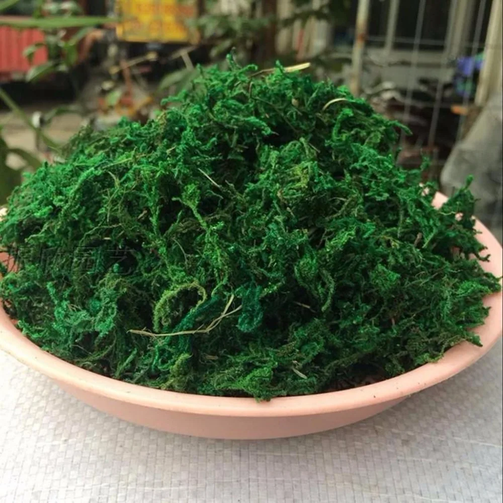 Natural 20/50Gram Bag Dry Green Moss Decorative Plants Vase Artificial Turf Silk Flower Accessories For Flowerpot Decoration
Natural 20/50Gram Bag Dry Green Moss Decorative Plants Vase Artificial Turf Silk Flower Accessories For Flowerpot Decoration