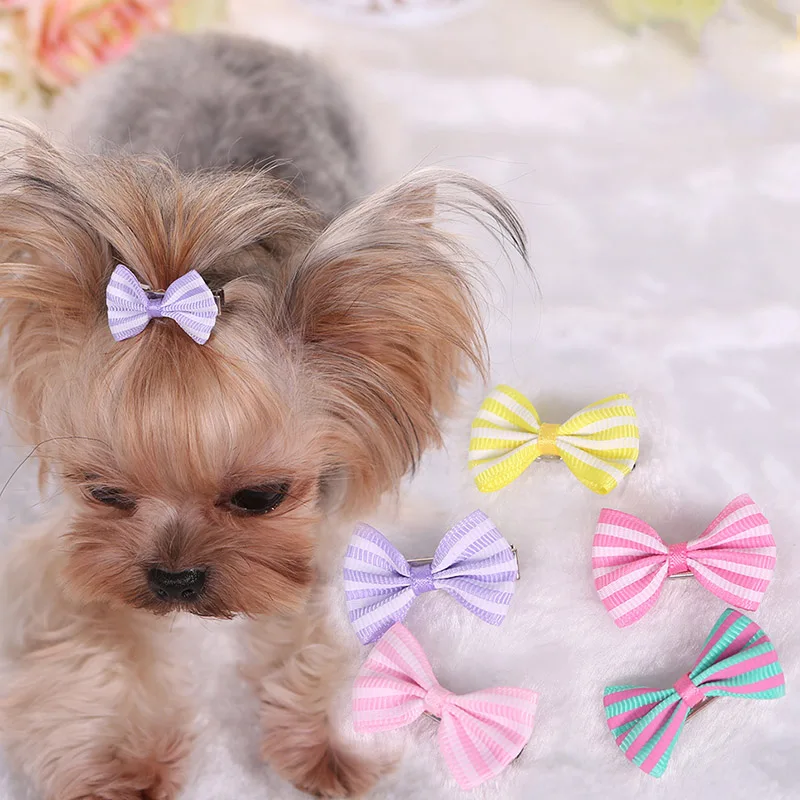 5Pcs Dog Hair Clips Cute Pet Cat Dog Grooming Beauty Supplies Bows Hairpin clip Lovely Pet Grooming Hair Accessories Pet Shop
5Pcs Dog Hair Clips Cute Pet Cat Dog Grooming Beauty Supplies Bows Hairpin clip Lovely Pet Grooming Hair Accessories Pet Shop