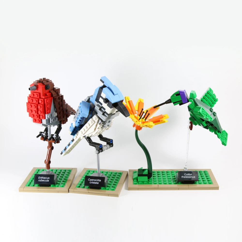 36009 Genuine Creative Series The Birds Set Children Educational Building Blocks Bricks Toys Compatible Bela Technic
36009 Genuine Creative Series The Birds Set Children Educational Building Blocks Bricks Toys Compatible Bela Technic