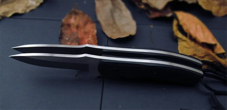 3213247983_1015906010