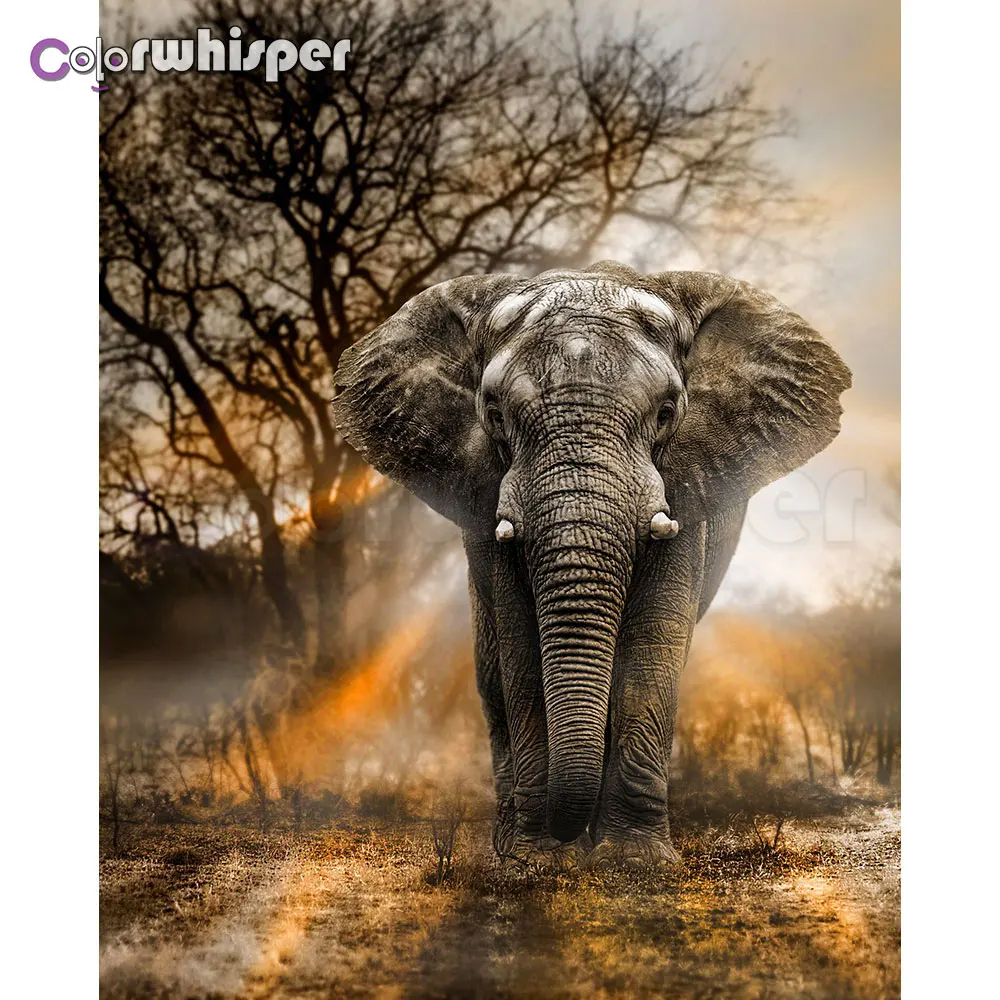 ColorWhisper Daimond Painting 5D Full Square/ Round " Angory Elephant " Diamond Rhinestone Crystal Cross Stitch Mosaic 807DP
ColorWhisper Daimond Painting 5D Full Square/ Round " Angory Elephant " Diamond Rhinestone Crystal Cross Stitch Mosaic 807DP