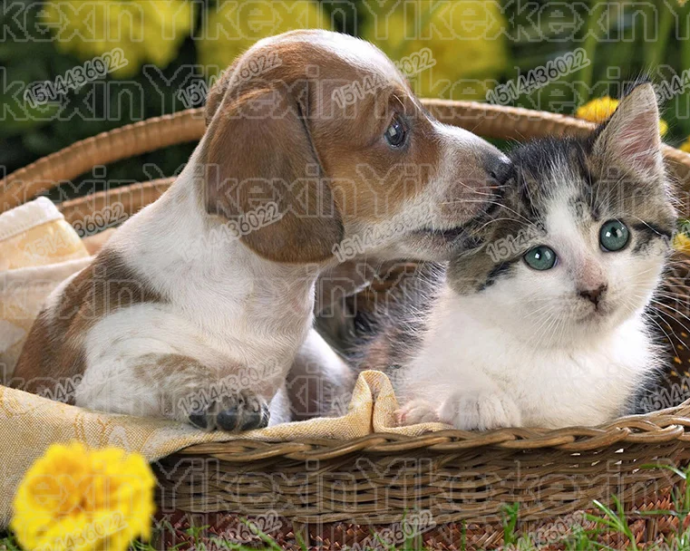 Diamond Painting Puppy Cute Pets Picture Of Rhinestone 5D DIY Resin Drill Full circular Diamond Embroidery Cat Dog Pattern
Diamond Painting Puppy Cute Pets Picture Of Rhinestone 5D DIY Resin Drill Full circular Diamond Embroidery Cat Dog Pattern
