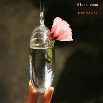 16pcs/pack Oblate Shaped Hanging Glass Vase Creative Hydroponic Plants Terrarium Home Decorative Beautiful Glass Crafts Gifts
16pcs/pack Oblate Shaped Hanging Glass Vase Creative Hydroponic Plants Terrarium Home Decorative Beautiful Glass Crafts Gifts