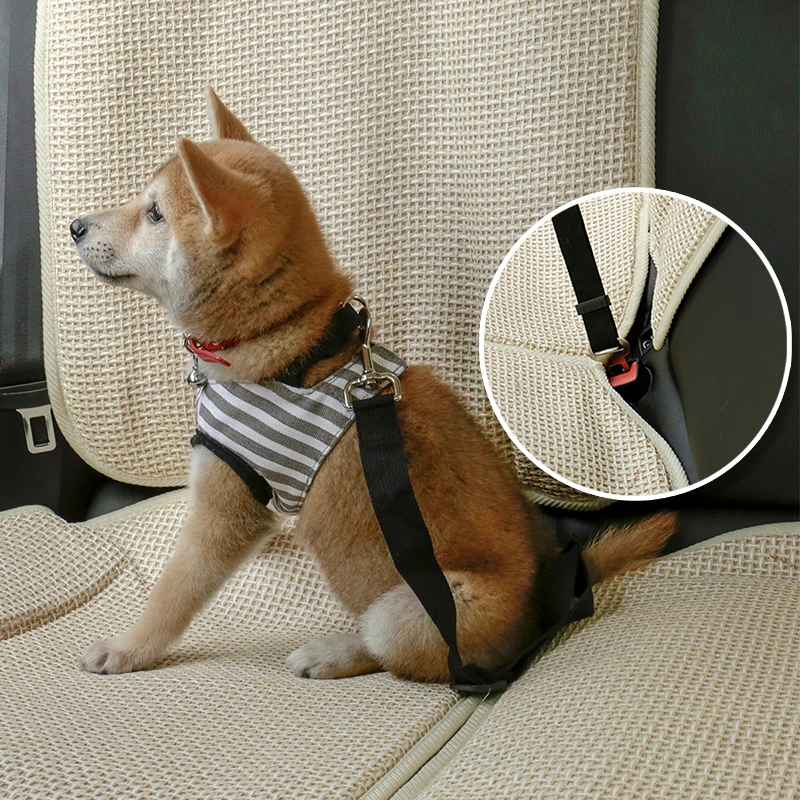 Dog Leash PY0006-5
