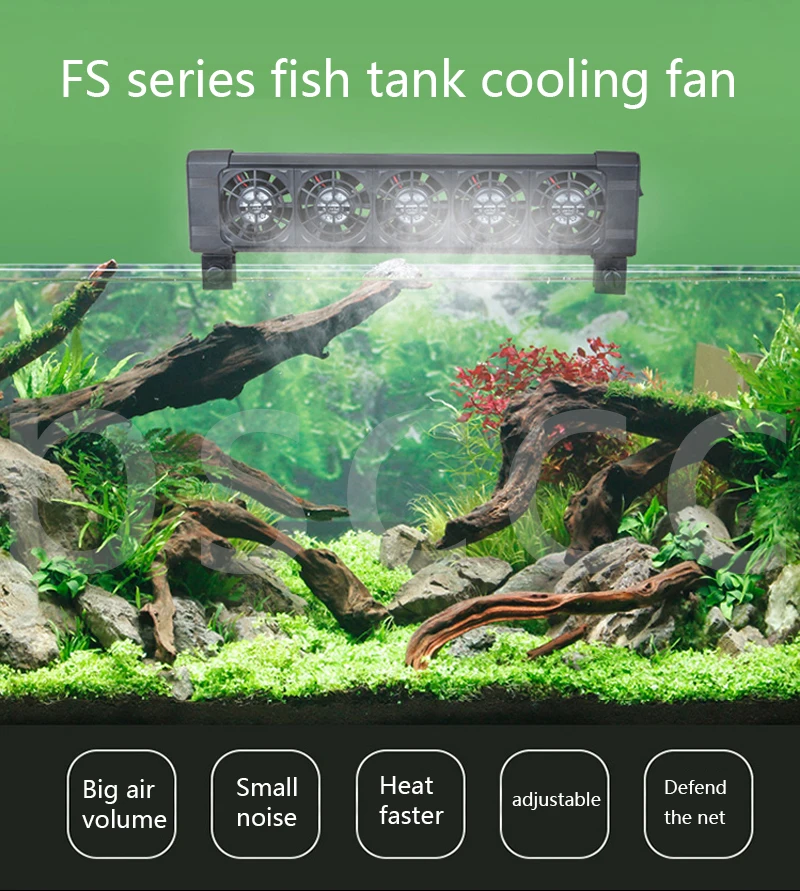 detail feedback questions about fishing cooling equipment aquarium