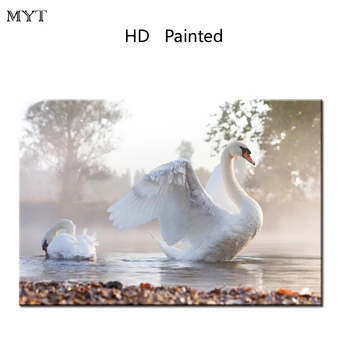 Modern Home Decor HD Printed Animal Swimming swans Oil Painting for Living Room Wall art Painting on Canvas
Modern Home Decor HD Printed Animal Swimming swans Oil Painting for Living Room Wall art Painting on Canvas