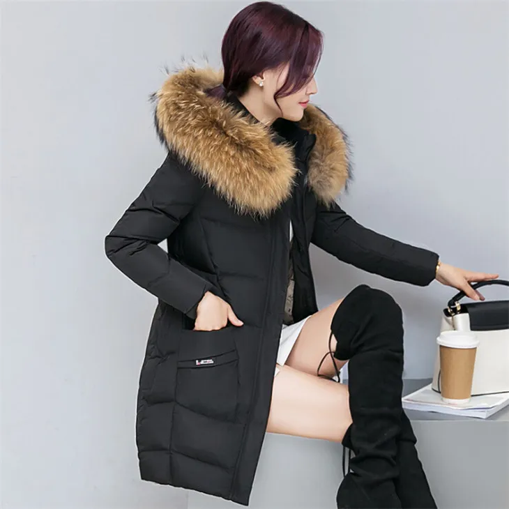 Winter Coat Women (3)_