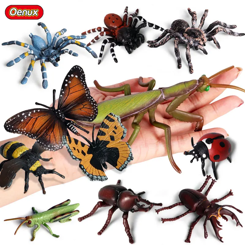 Oenux Original Insect Action Figures Simulation PVC Mini Insects Bee Butterfly Spider Mantis Animal Figurines Model Toys For Kid
Oenux Original Insect Action Figures Simulation PVC Mini Insects Bee Butterfly Spider Mantis Animal Figurines Model Toys For Kid
