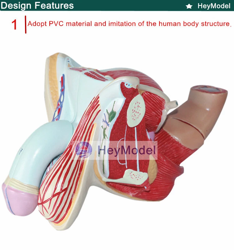 1.PVC_