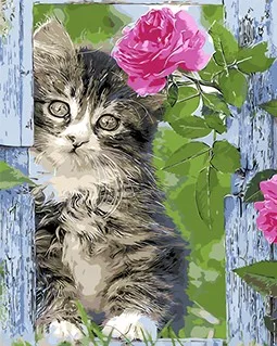 MaHuaf-W601 flowers cat Framed unique landscape DIY Painting By Numbers Art Canvas Painting
MaHuaf-W601 flowers cat Framed unique landscape DIY Painting By Numbers Art Canvas Painting