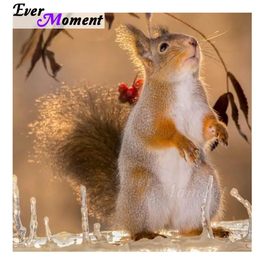 Ever Moment Diamond Painting 5D DIY Picture Of Rhinestone Full Square Drill Cross Stitch Diamond Embroidery Squirrel S2F1801
Ever Moment Diamond Painting 5D DIY Picture Of Rhinestone Full Square Drill Cross Stitch Diamond Embroidery Squirrel S2F1801