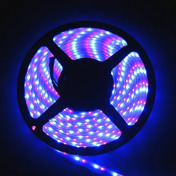 5M 600Leds 335SMD 120LED/M Side View Light IP65 Waterproof 12V Side-emitting Flexible strip lamp Home car backlighting decor-RGB
5M 600Leds 335SMD 120LED/M Side View Light IP65 Waterproof 12V Side-emitting Flexible strip lamp Home car backlighting decor-RGB