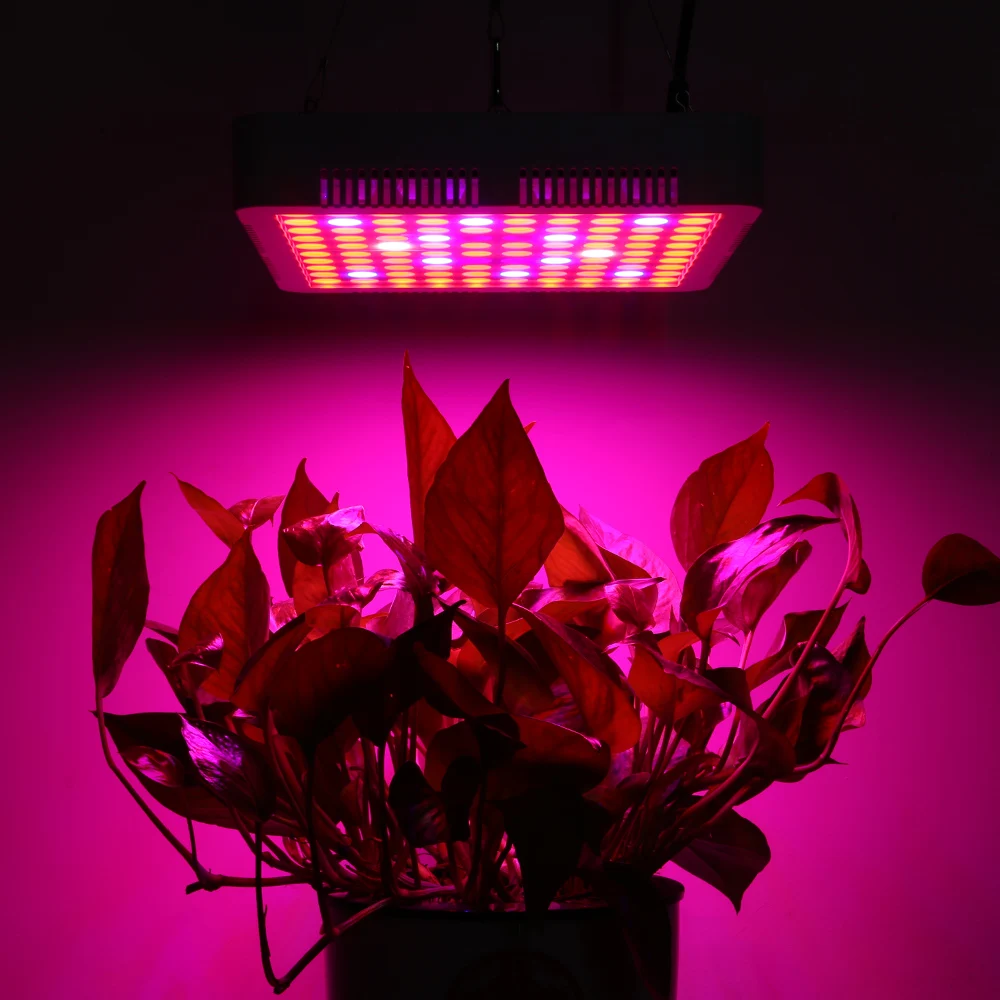 Lightme RFC - F300W 100PCS LEDs Grow Light For Veg Flower Perfect For All Kinds Of Plants
Lightme RFC - F300W 100PCS LEDs Grow Light For Veg Flower Perfect For All Kinds Of Plants