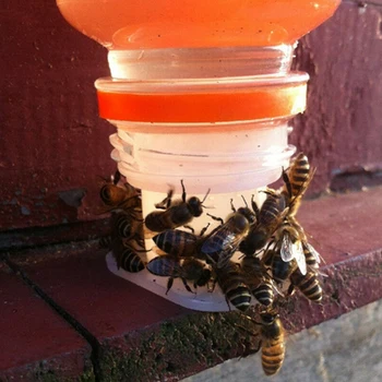 Tools Bee Water Feeder Set Drinking Container Cup White 27mm Beekeeping Replacement Plastic Supplies
Tools Bee Water Feeder Set Drinking Container Cup White 27mm Beekeeping Replacement Plastic Supplies