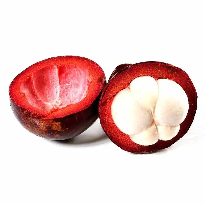 10 Pcs Thailand Mangosteen Fruit bonsai Organic Heirloom Natural Anticancer Tree garden Nutrient Rich Queen Of Tropical Seddling
10 Pcs Thailand Mangosteen Fruit bonsai Organic Heirloom Natural Anticancer Tree garden Nutrient Rich Queen Of Tropical Seddling