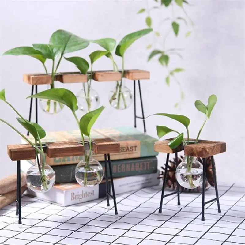 Adeeing Fashionable Transparent Glass Vase with Wooden & Iron Stand for Water Planting Decoration Gift
Adeeing Fashionable Transparent Glass Vase with Wooden & Iron Stand for Water Planting Decoration Gift