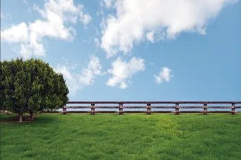 Laeacco Farm Grassland Fence Blue sky Portrait Scene Photography Backgrounds Customized Photographic Backdrops For Photo Studio
Laeacco Farm Grassland Fence Blue sky Portrait Scene Photography Backgrounds Customized Photographic Backdrops For Photo Studio