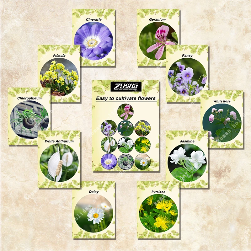 ZLKING 380pcs Flower Combination Package Bonsai Easy Grow Plant Daisy Rose Geranium Primrose Jasmine Pansy Flowering Plant
ZLKING 380pcs Flower Combination Package Bonsai Easy Grow Plant Daisy Rose Geranium Primrose Jasmine Pansy Flowering Plant