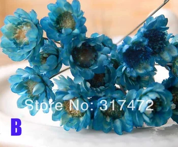 NEW! 0.4-1cm light blue dry flower stuff fit glass vials glass bottle glass dome glass bubble
NEW! 0.4-1cm light blue dry flower stuff fit glass vials glass bottle glass dome glass bubble