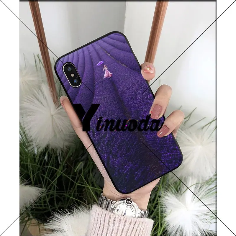 Simple lavender Purple flowers