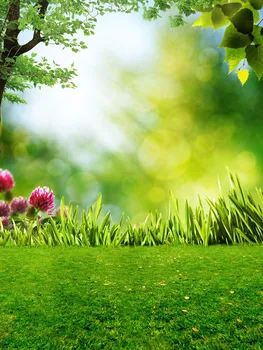 LIFE MAGIC BOX Photo Studio Backdrop Background Newborn Photography Props Green Grass CMS-1895
LIFE MAGIC BOX Photo Studio Backdrop Background Newborn Photography Props Green Grass CMS-1895